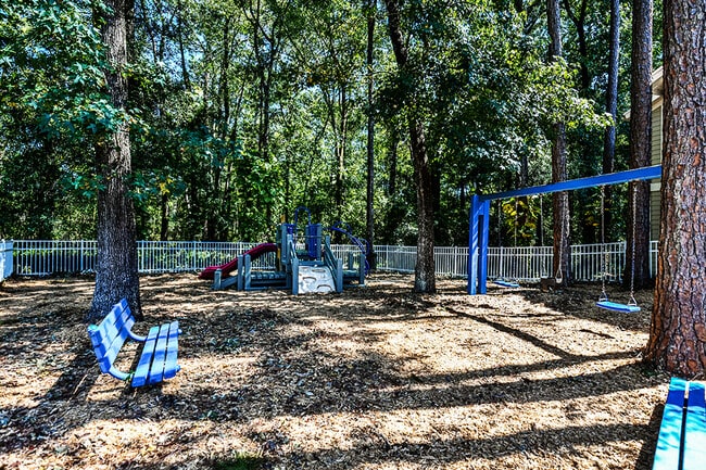 Large Playground Area