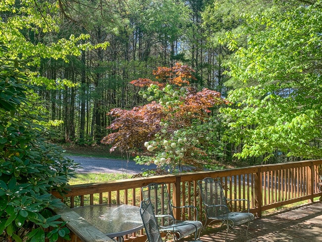 111 Laurel Oak Ct