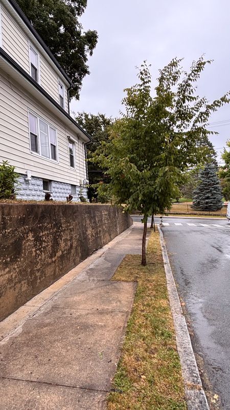 Photo - 584 River Ave