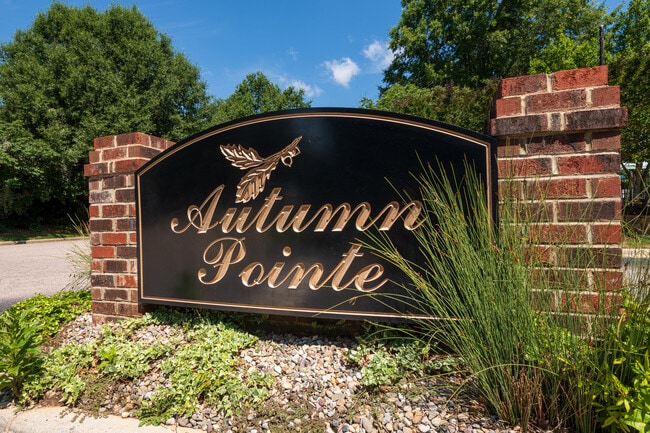 Photo - Autumn Pointe