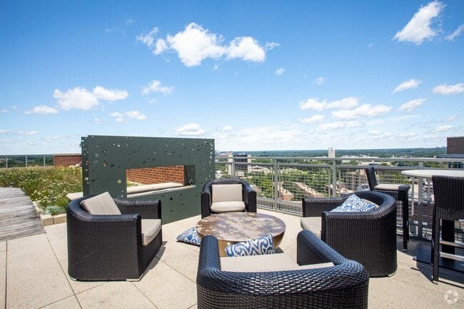 Rooftop Fireplace