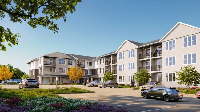 Standard Complex View
