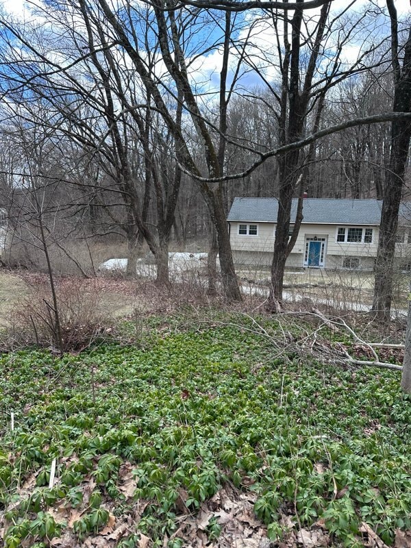 Photo - 59 Bear Hills Rd