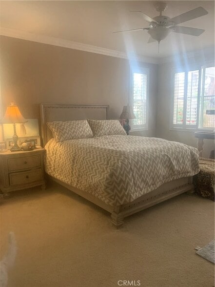 Photo - 26559 Chamomile St