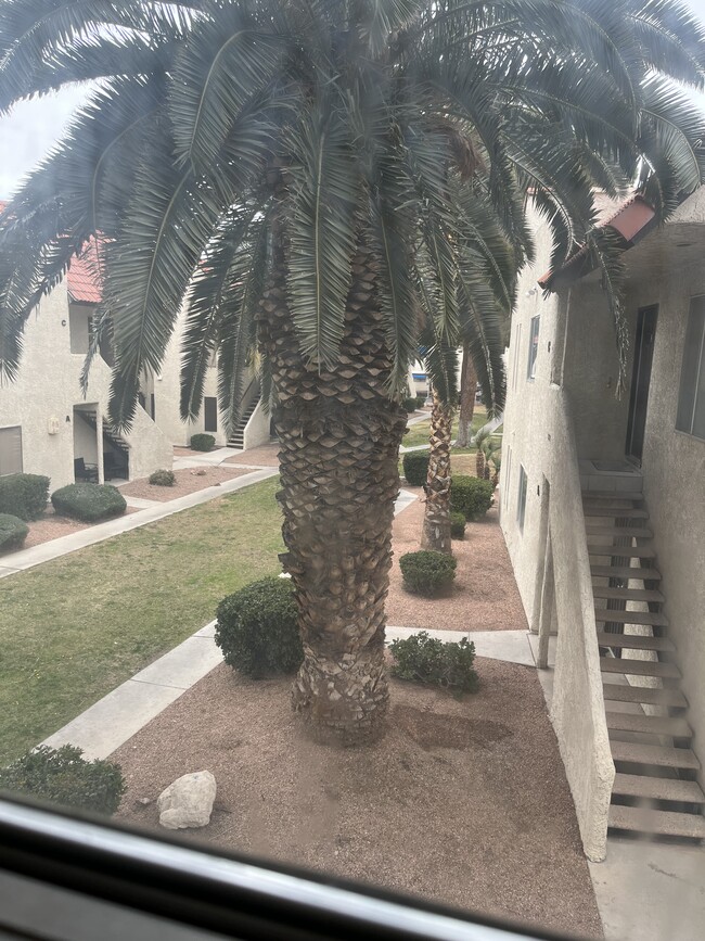 Building Photo - 5078 Spencer St Unit .