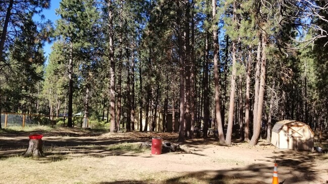 Photo - VIDEOTOUR: Awesome Location! Beautiful Ponderosa Pines, Minutes To Bend! PETS WELCOME