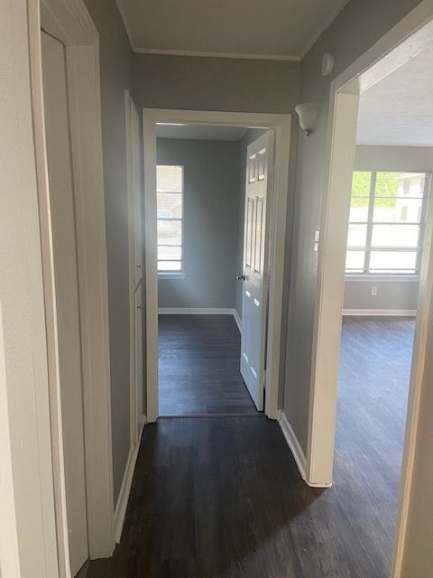 3641 N Macgregor Way Apartments Unit 32 - Houston, TX | ForRent.com