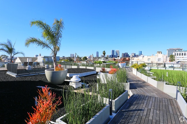 Sun Deck