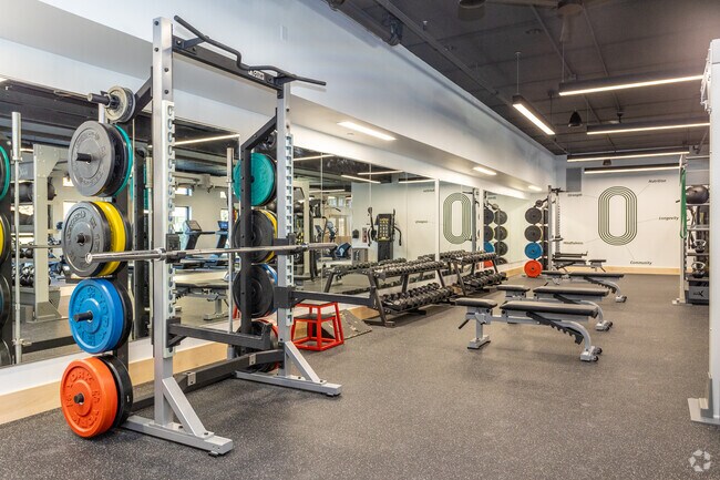 Gimnasio
