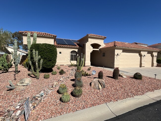 Photo - 14037 N 10th Pl