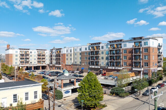 Photo - Views On Vine