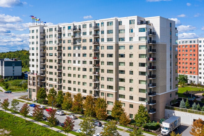 Photo - William's Court D & G