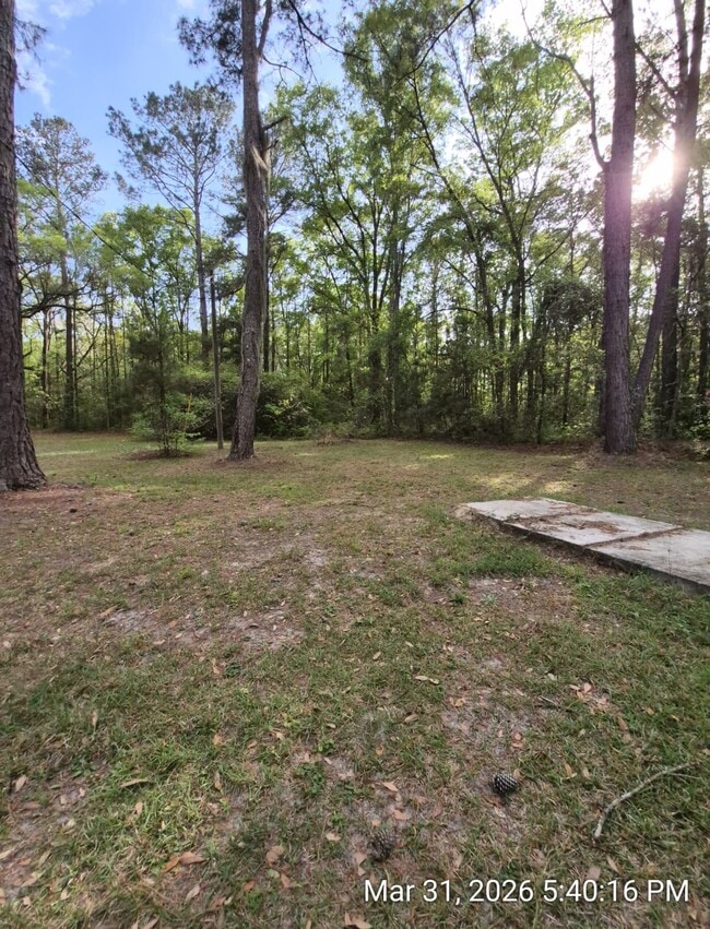 Photo - 187 Mamies Rd