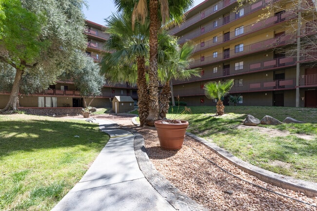 Interior Garden