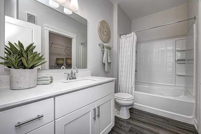 Wheelhouse Bathroom