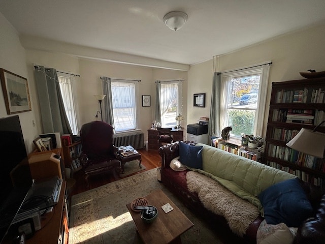 Living room. - 129 Durnell Ave Unit #1