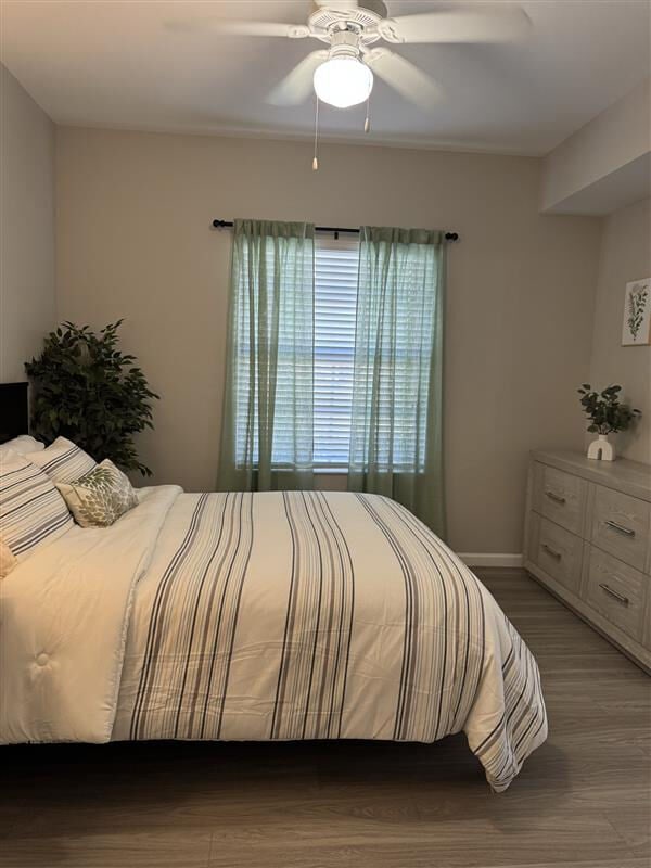 Photo - Evergreen Estero