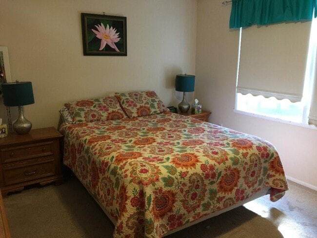 Photo - 22 Lemon Tree Ct