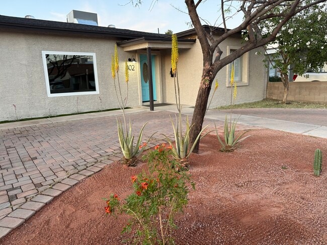 Desert front