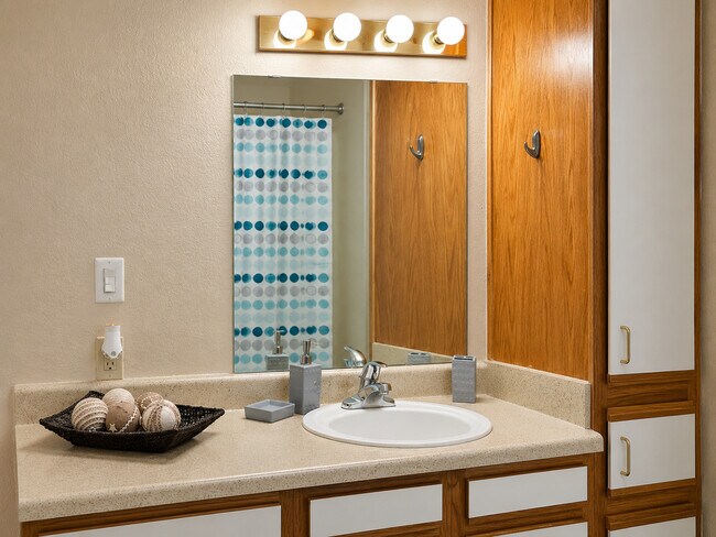 Bathroom vanity, sink with attached storage.