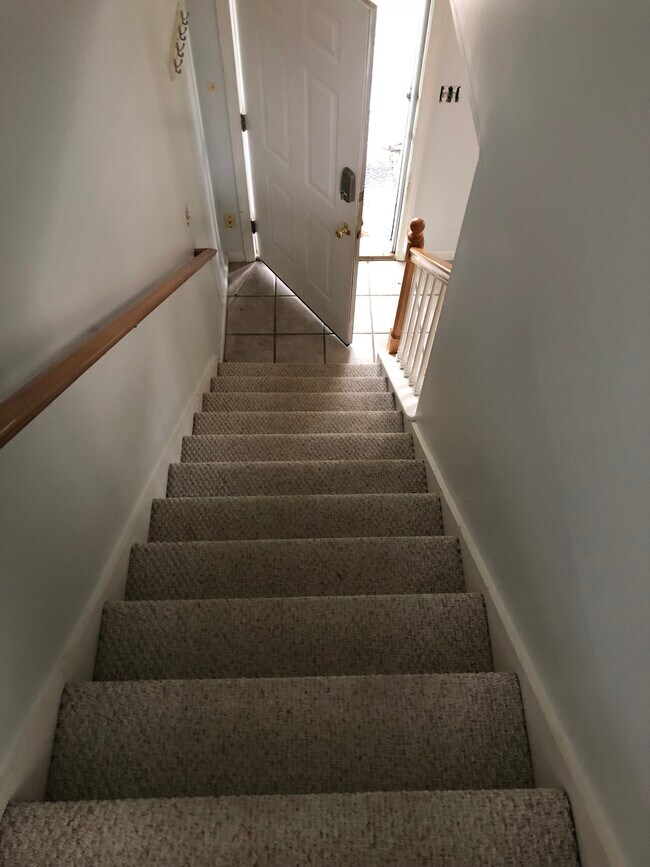 Photo - 51 Mitton St