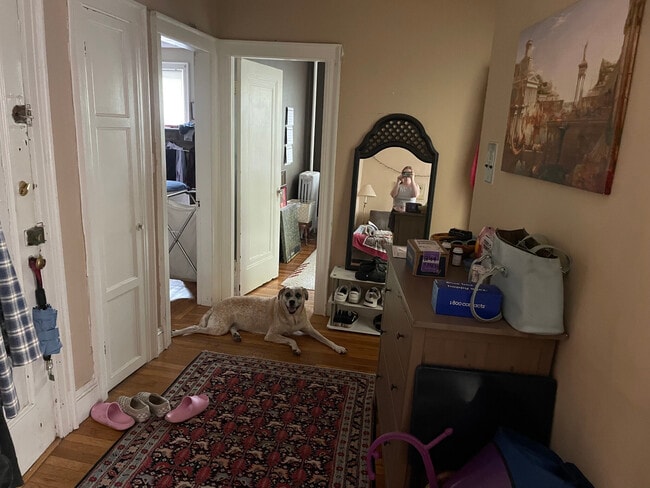 Photo - 249 Chestnut Hill Ave