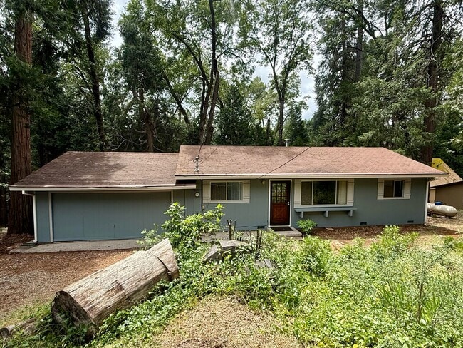 Building Photo - 11599 Upper Pine Hill Dr
