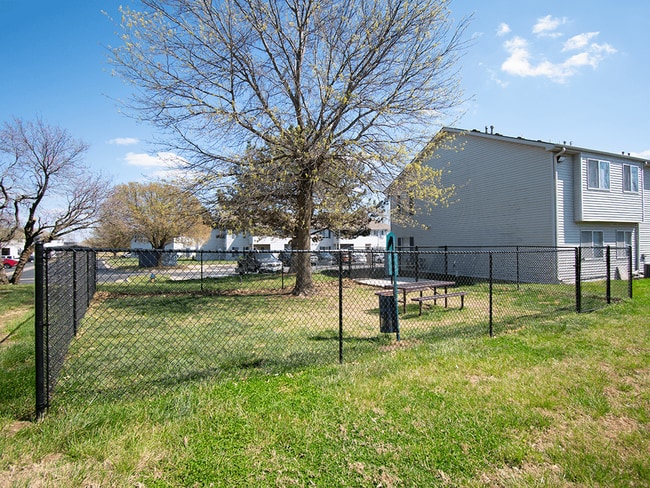 Fenced Dog Park