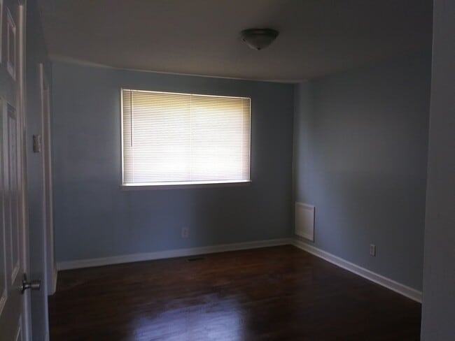 Photo - Look No Further!