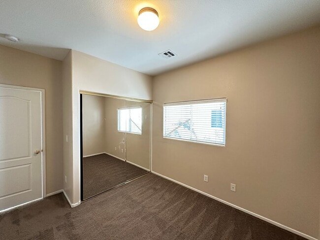 Photo - DESERT WILLOWS