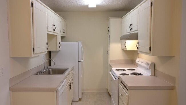 Building Photo - "Beautiful Remodeled 3 bed 1 bath in downt... Unit 11 Rental