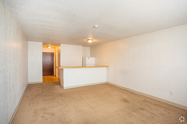 Studio - 435 SF