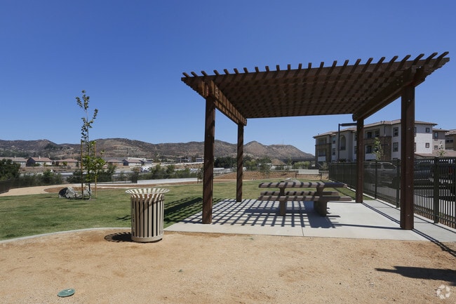 Dog Park