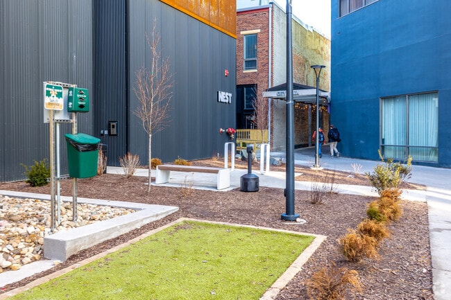 Área para mascotas - The Nest Iowa City