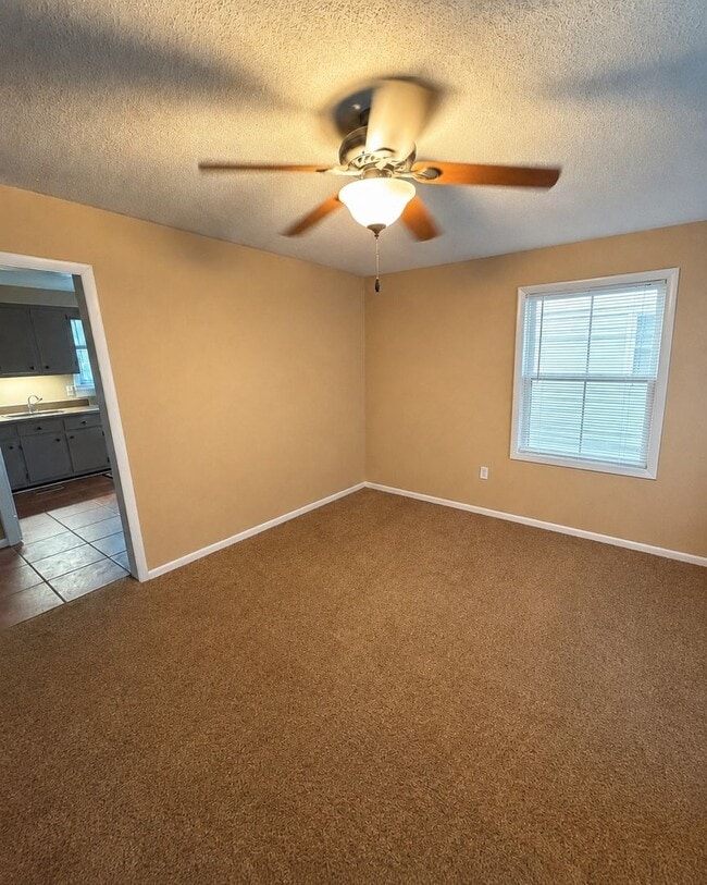 Photo - 206 Paddock Rd
