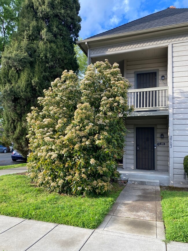 Spacious 1 bed 1 bath apartment in midtown Sacramento - 2703 T St Apartments Unit 2703 12