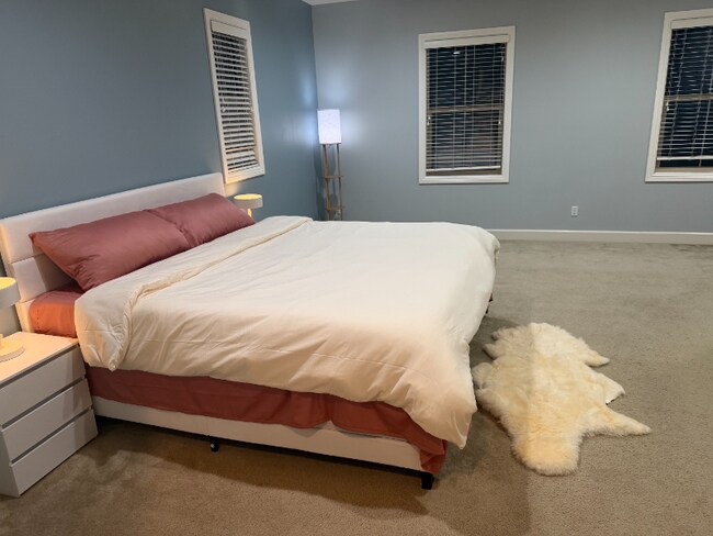 Photo - 161 Coyote Brush