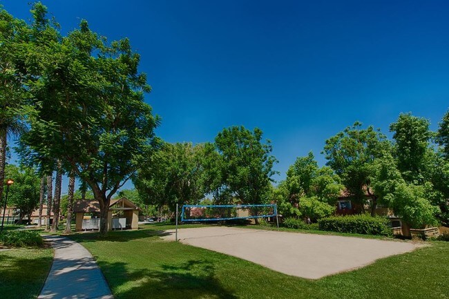 Volleyball Court