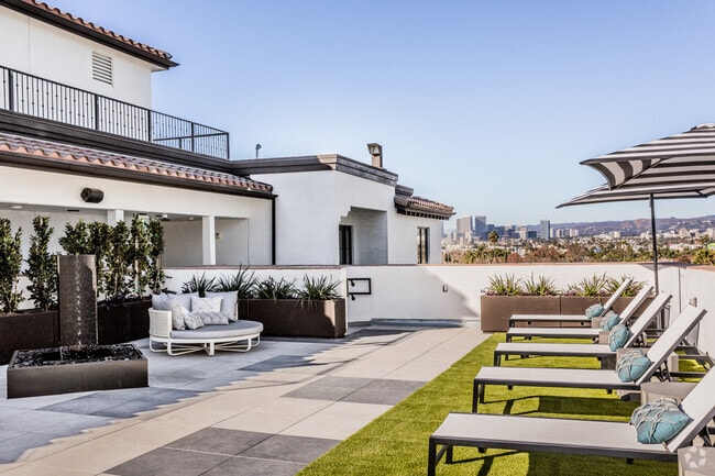 Sun Deck