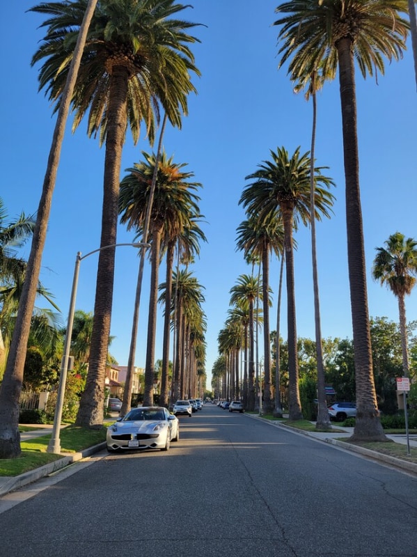 Photo - 362 S Palm Dr Apartment Unit Duplicate of 1