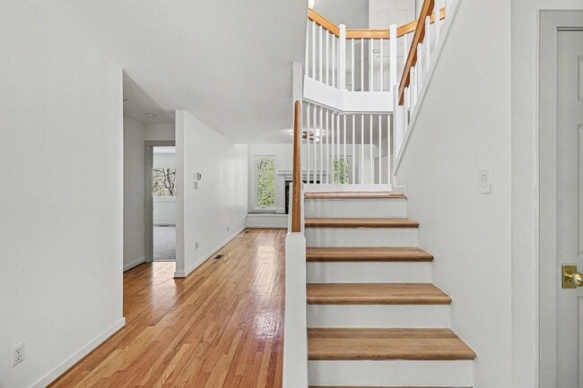 Photo - Large 4 Bedroom/2 Bathroom Home in Bon Air ***Available Early/Mid April***