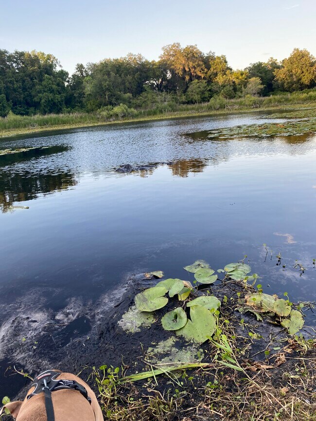 311 White Sands Beaches Dr House House Rental in Hawthorne, FL