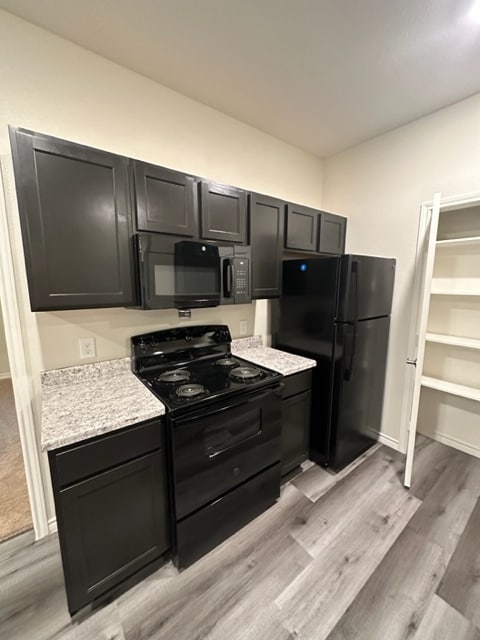 Kitchen - Silver Leaf Senior Community Apartments