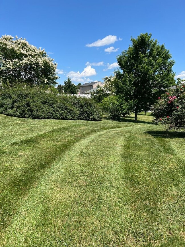 Photo - Charming 3-Bedroom Ranch in Quiet NE Roanoke Neighborhood