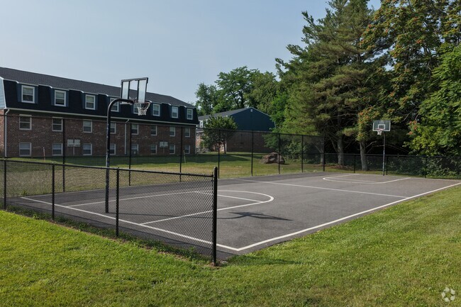 Basketball Court