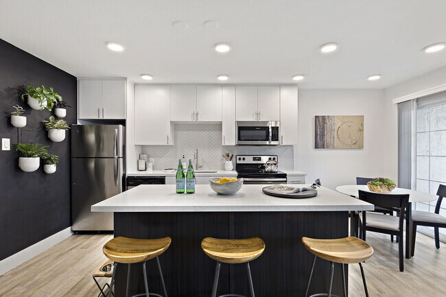 Photo - The Franciscan