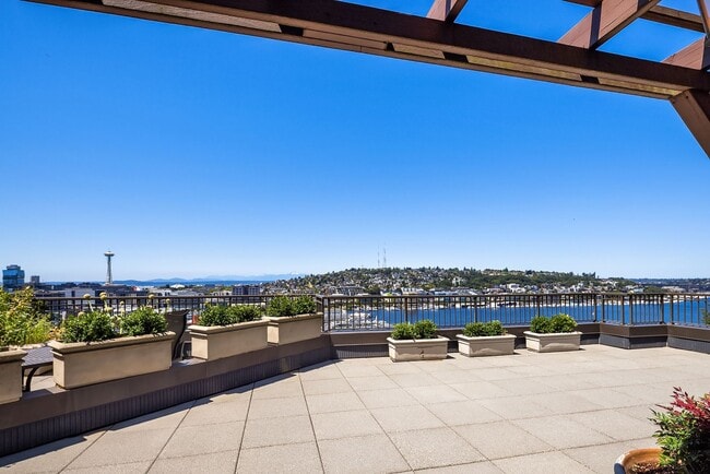 Building Photo - Luxury Penthouse with 600+ Sqft Terrace & ...