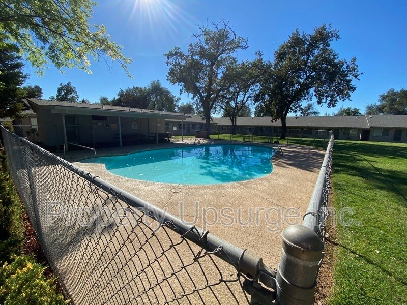 The Oasis - The Oasis