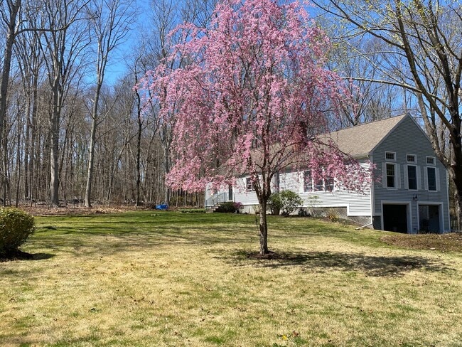 Photo - 437 Green Hill Rd House