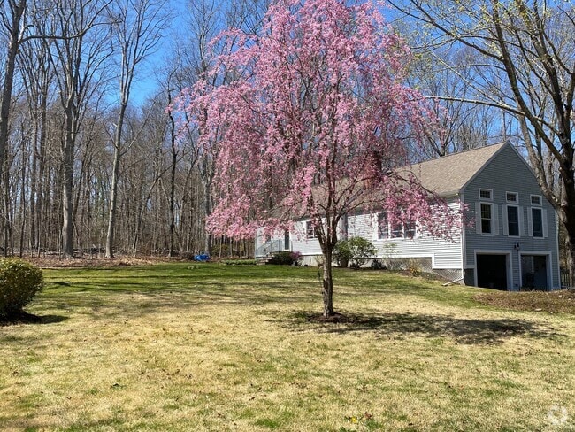 Building Photo - 437 Green Hill Rd Rental